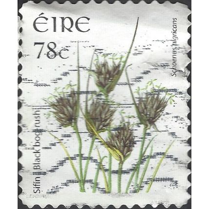 EIRE, FLOWER, Black Bog-rush, Schoenus nigricans adhesive, white 2007, 78c, #2