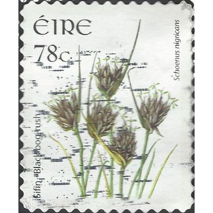 EIRE, FLOWER, Black Bog-rush, Schoenus nigricans adhesive, white 2007, 78c
