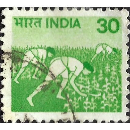 INDIA, Harvesting Maize, green 1979, 30paisa, #5
