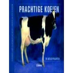 Prachtige Koeien