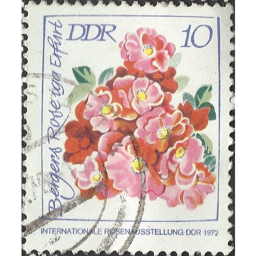 DDR, FLOWERS, Bergers Rose Iga Erfurt, white 1972, 10pf, #2