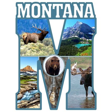 Montana Capitol M Fridge Magnet