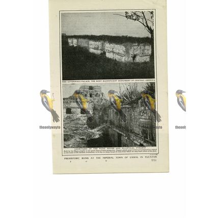 Ruins of Imperial Town, Uxmal, Yucatan, Mexico, Book Illustration (Print), 1909