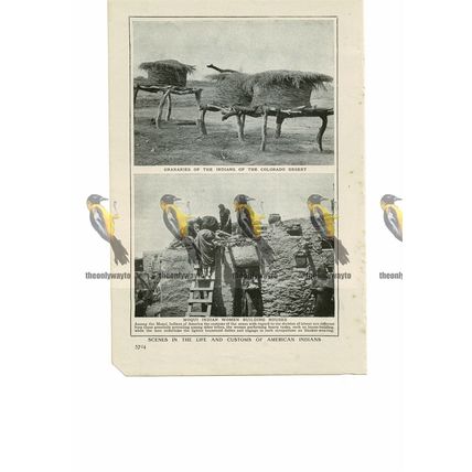 Everyday Life, Moqui Indians, Colorado, USA, Book Illustration (Print), 1909