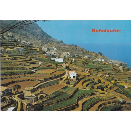 Mallorca Banalbufar Spain Postcard posted 1981 crease