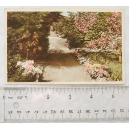 vintage postcard Old Mill Gardens, Wannock Centre Walk