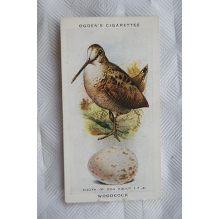 1939 Ogdens British Birds & Their Eggs 48 Woodcock
