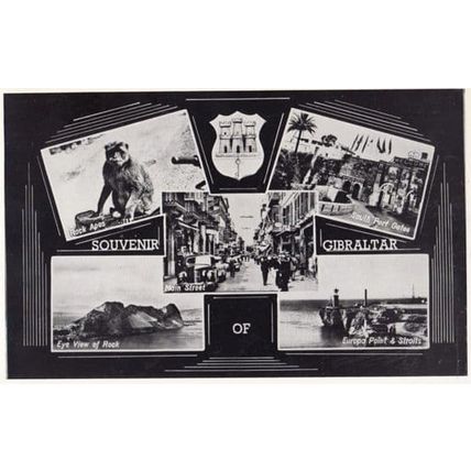 Gibraltar Rock Apes 5 Views Classic Cars Real Photo Postcard