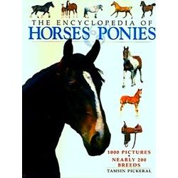 Horses Ponies Dutchbound Cover