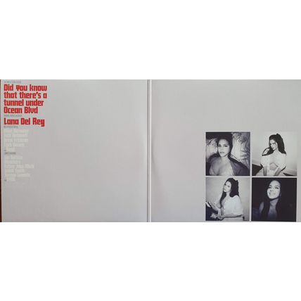Did You Know That There's a Tunnel under Ocean Blvd WHITE FREE VINYL INCLUDED