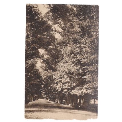 CHRIST CHURCH AVENUE, OXFORD , unused antique postcard by F Frith =