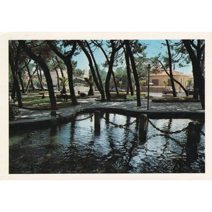 Marina Di Grosseto Giardini Italy Postcard posted 1986 VGC
