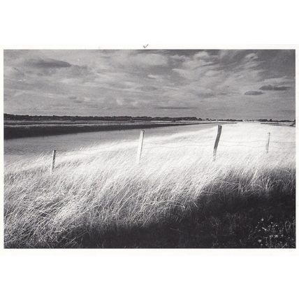 Barbed Wire Fence in Ile De Re France Philippe Peche Award Photograph Postcard