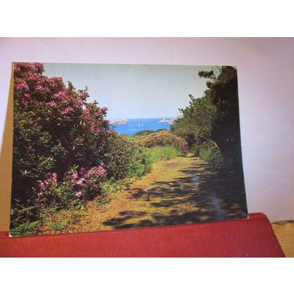 NEW GRIMSBY CHANNEL, TRESCO, ISLES OF SCILLY unused postcard =