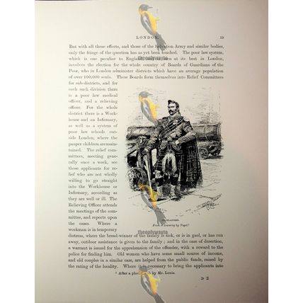 London, Highlander, Vogel, Book Illustration (Print), 1892