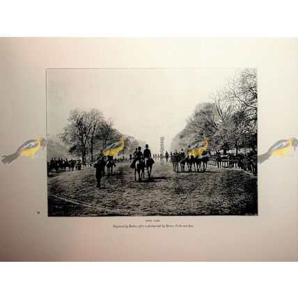 Hyde Park, London, Bocher/Frith, Book Illustration (Print), 1892