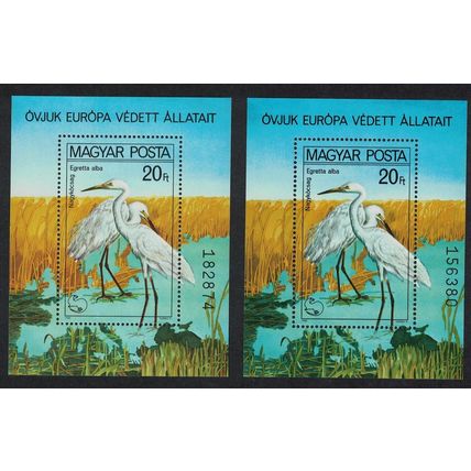 Hungary Great Egrets Protected Birds MS Pair Colour variety 1980 MNH