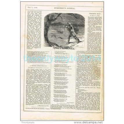 SQUIRREL, ILLUSTRATED POETRY, MAGAZINE ILLUSTRATION/PRINT, c1859