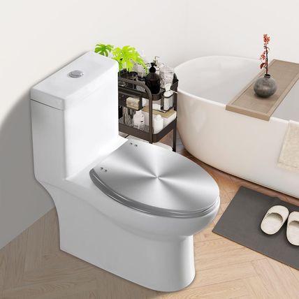 Elongated Toilet Seat Silver Resin Slow Quiet Close with Quick-Release Hinges Ea