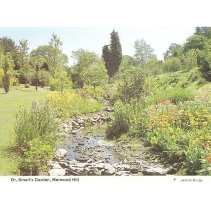 Dr Doctor Smarts Garden Marwood Hill Devon Postcard