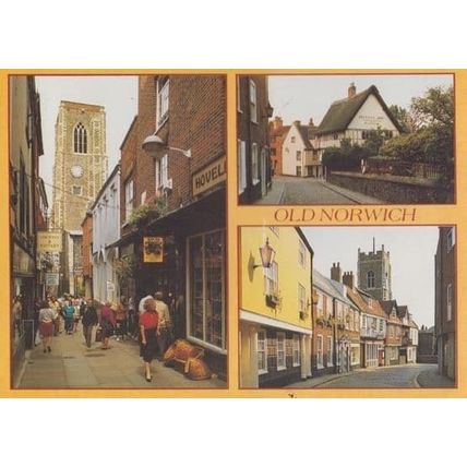 Old Norwich Britons Arms Pub Mustard Shop Painting Artist Shops Norfolk Postcard