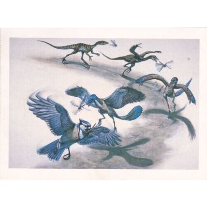 United States 1989 Dinosaurs Maximum cards set of 6 Lake Buena Vista cancel VGC