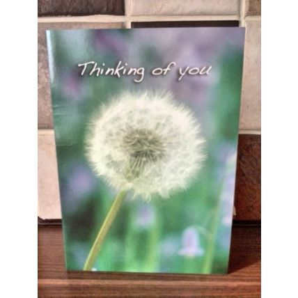 Thinking Of You Cards - Blank Inside - 004