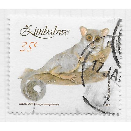 ZIMBABWE 1991 NIGHT APE SMALL MAMMAL 35c USED