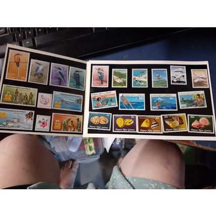 (F217-48) 1981 Papua New Guinea stamp pack PNG annual pack