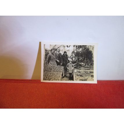 A FAMILY GROUP IN A GREENHOUSE small photograph 1930s =