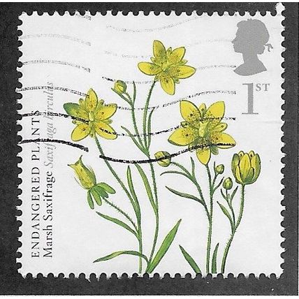 2009 1ST 'PLANTS- MARSH SAFFRAGE ' FINE USED (EBID73-662)
