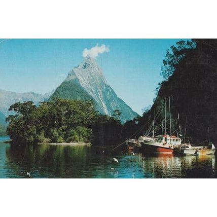 Mitre Peak Crayfishing Boat Boats New Zealand Postcard