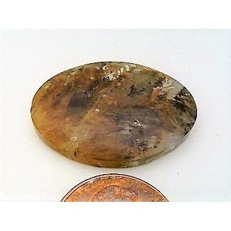 Golden Plume Agate Freeform Gemstone Cabochon 223