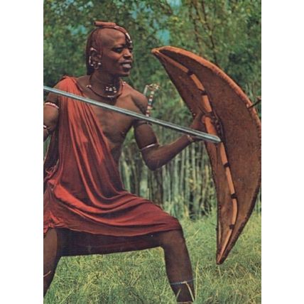 New Zealand Masai Warrior Postcard