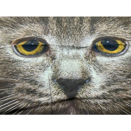 CAT Cushion Animal Cover Printed Pillow CASE Sofa Home Decor 45 x 45cm 18'' UK A