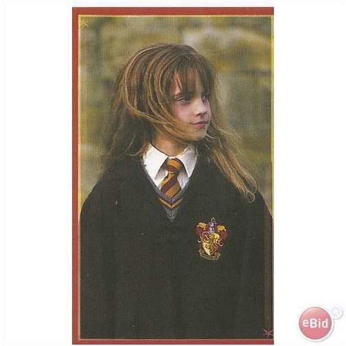 Panini's Magical World of Harry Potter Sticker No. 13