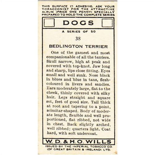 Wills Dogs Card No. 39 Bull Terrier