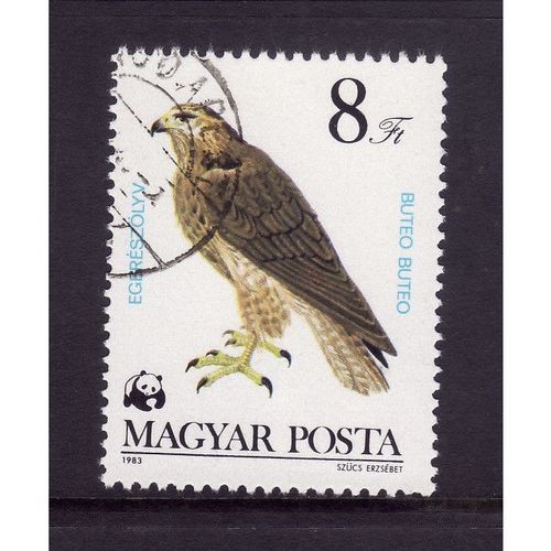 HUNGARY 1983 BIRDS OF PREY 8 FO COMMON BUZZARD SG 3513 FINE USED