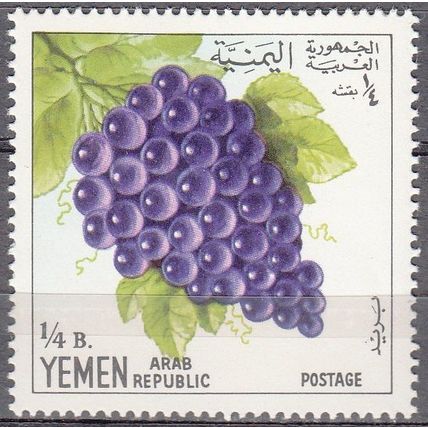 Yemen 1967 Michel 553 Neuf * Cote (2007) 0.20 Euro Raisins