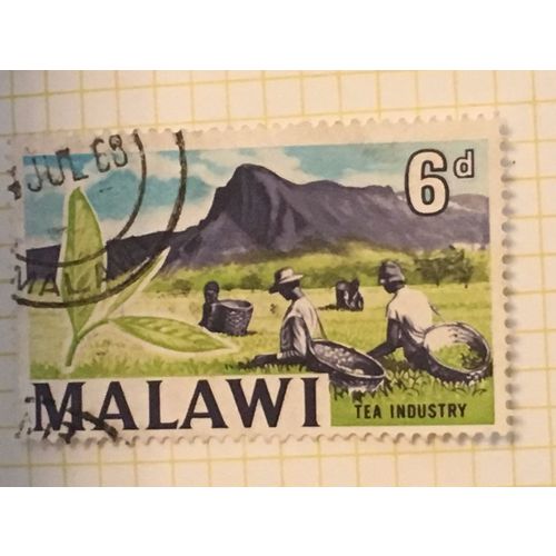 Malawi Queen Elizabeth II 1966 6d Tea Industry Used SG 256 Sc45 postage stamp #2
