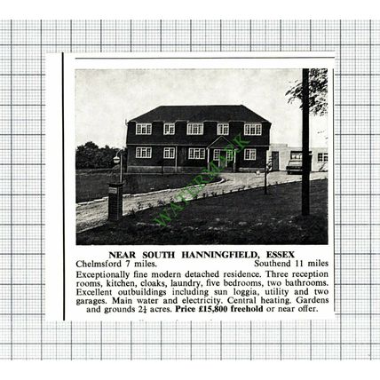 C7975) South Hanningfield Essex - 1967 Cutting