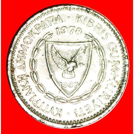 CEDAR of LEBANON: CYPRUS ★ 25 MILS 1978★LOW START★NO RESERVE!