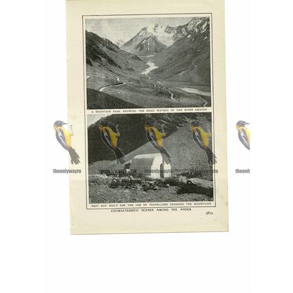 Andean Scenery (2), South America, Book Illustration (Print), 1909