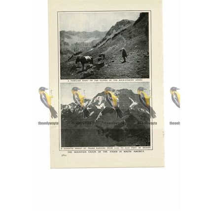 Andean Scenery (1), South America, Book Illustration (Print), 1909