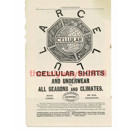 Aertex Cellular Shirts and Underwear, Advert, Book Illustration (Print), 1892
