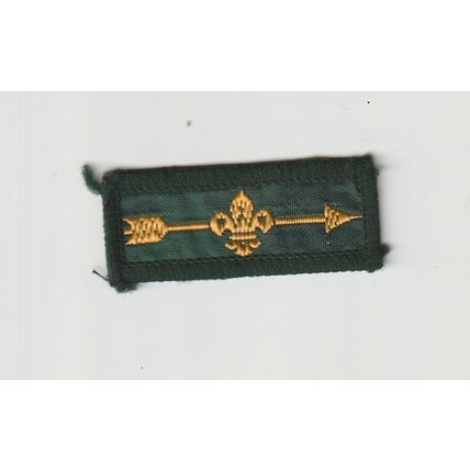 Scout Badge UK - Progress - Cub Gold Arrow - Hessian Back (BY222)
