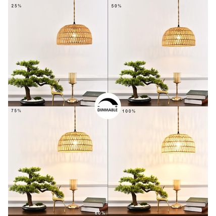 Plug in Pendant Light Rattan Hanging Lights with Plug in Cord Wicker Hanging Lam