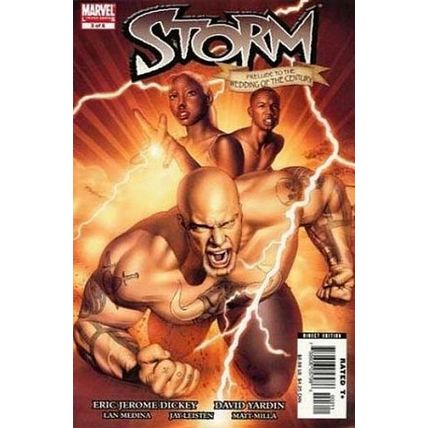 Storm (2006 Ltd) # 003 NM MODERN AGE COMICS