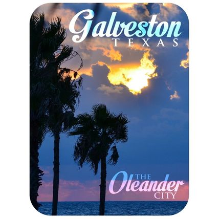 Galveston Texas The Oleander City Photo Fridge Magnet