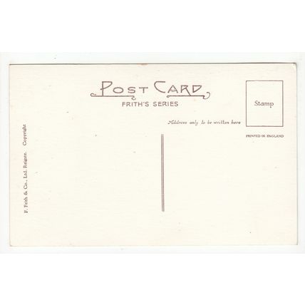 The Rose Garden Camberley Recreation Ground Postcard Surrey